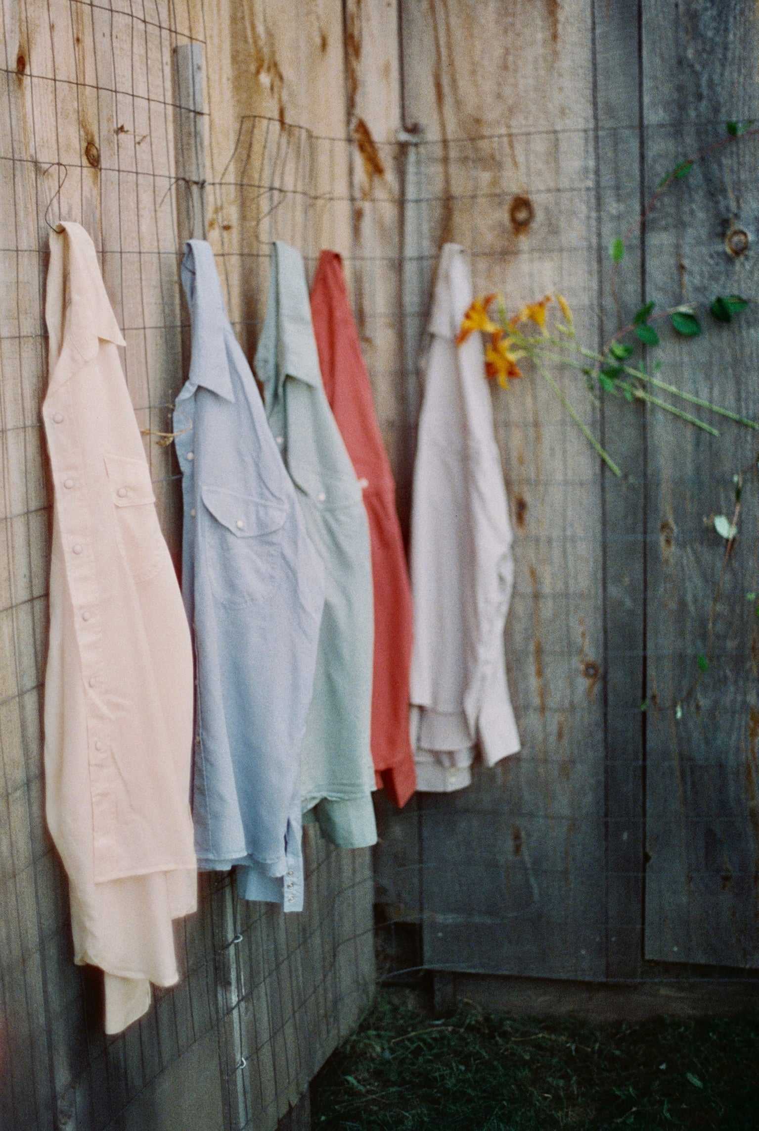 Tencel Gabardine