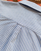 Oxford Cloth Button Down Popover - Blue and White Stripe